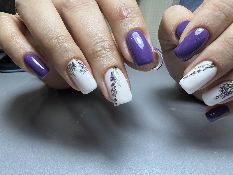 مدل های جدید کاشت 